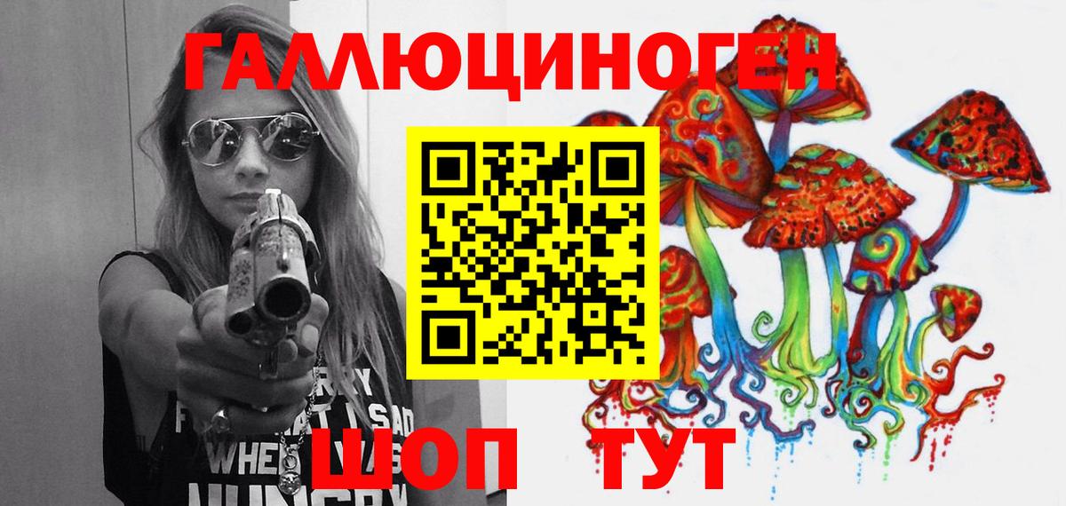 Псилоцибиновые грибы Cubensis  Псилоцибиновые грибы Psilocybine cubensis  Вход с VPN  Новокубанск 